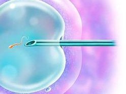 试管移植5天能喝咖啡吗？最新价格来了