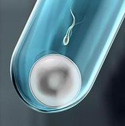 福州生殖医院三代试管婴儿一般价格是多少？